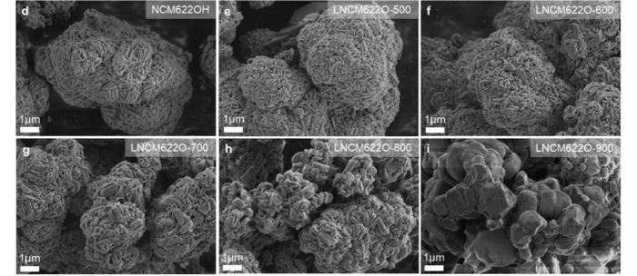 Scanning Electron Microscopy (SEM) data showing changes in morphology of the material depending on the synthesis temperature.
