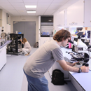 CSIC-SUPPORTED NEW DEDICATED ALBA LABORATORY OPENS TO DRIVE SUSTAINABLE ENERGY SOLUTIONS